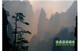 張家界國(guó)家森林公園、寶峰湖/黃龍洞、鳳凰古城、三峽八日游